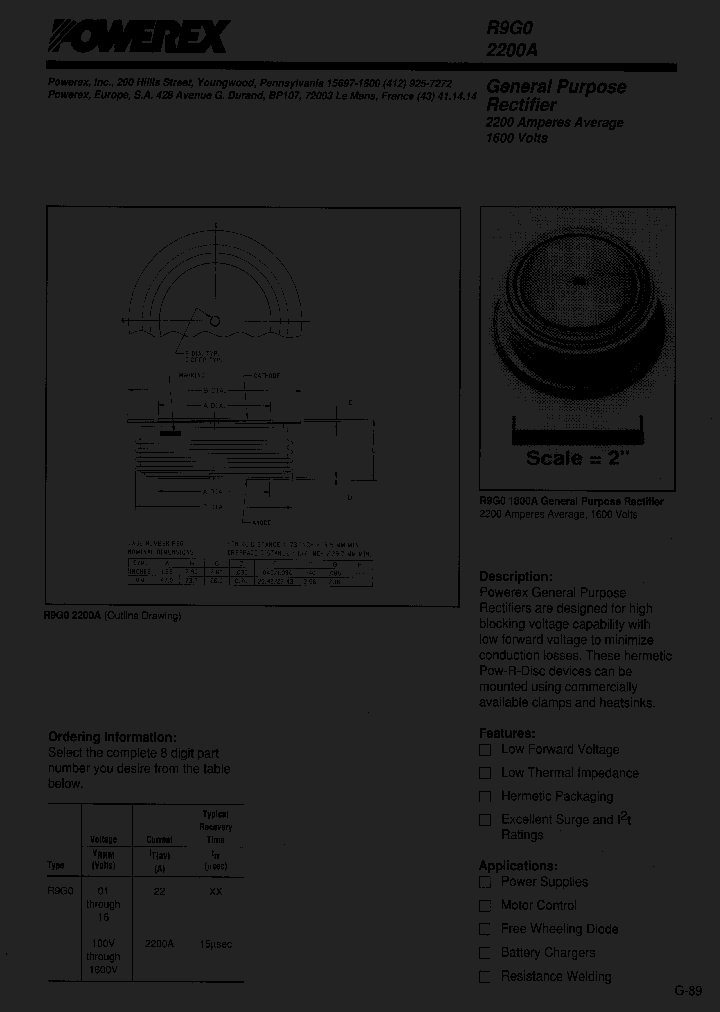 R9G02200A_493947.PDF Datasheet