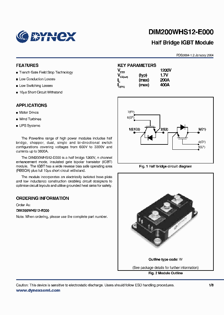 DIM200WHS12-E000_1126933.PDF Datasheet