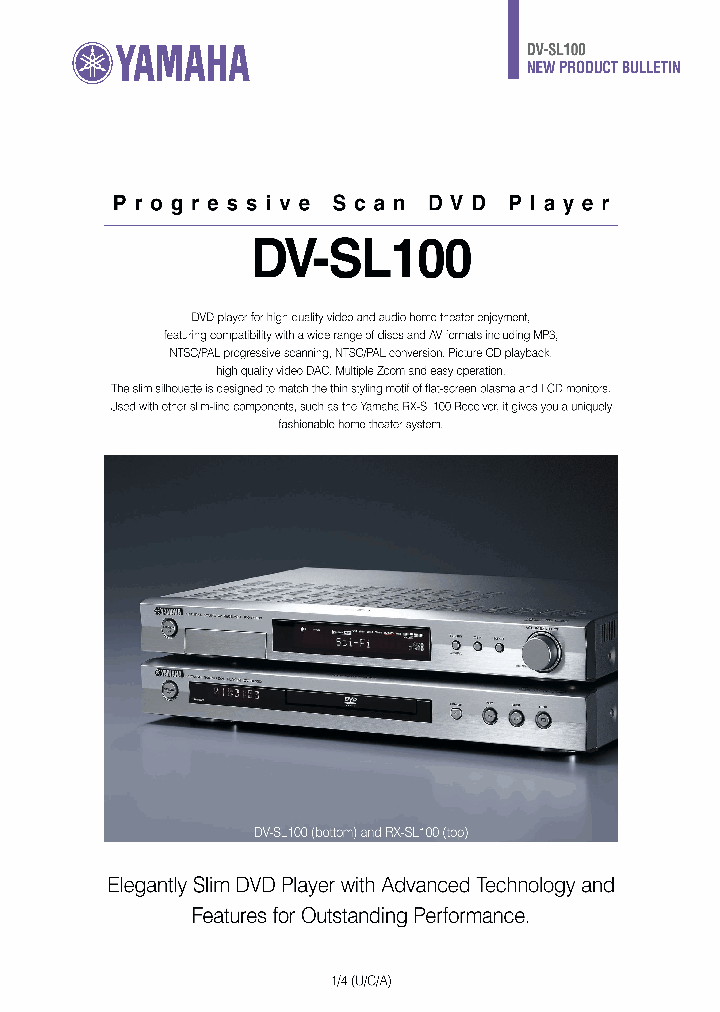 DV-SL100_1235334.PDF Datasheet