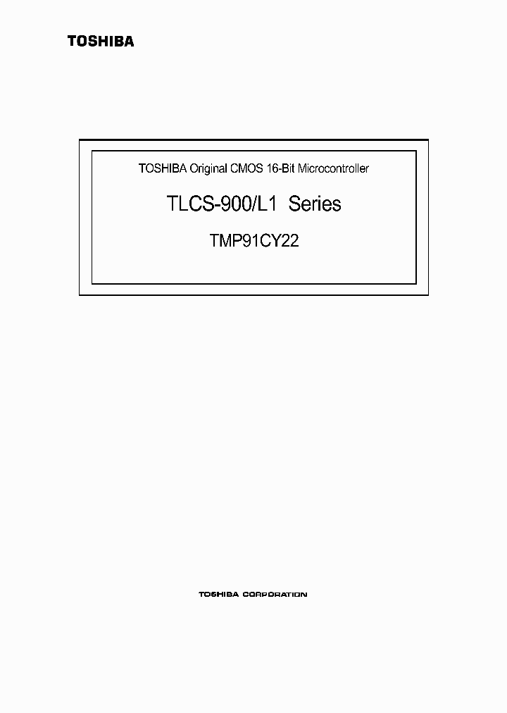 E03052191CY22SUMMARY_979504.PDF Datasheet