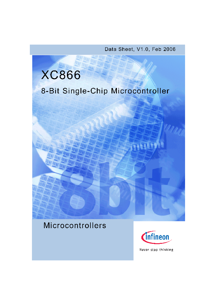 XC866-2RR_835955.PDF Datasheet