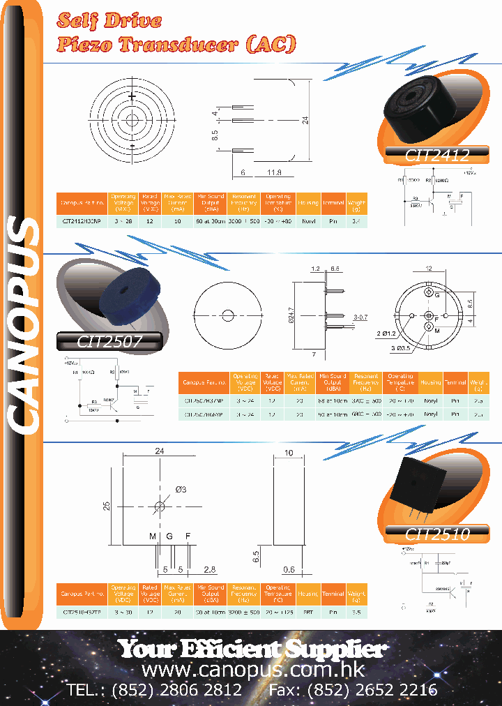 CIT2412_3171384.PDF Datasheet