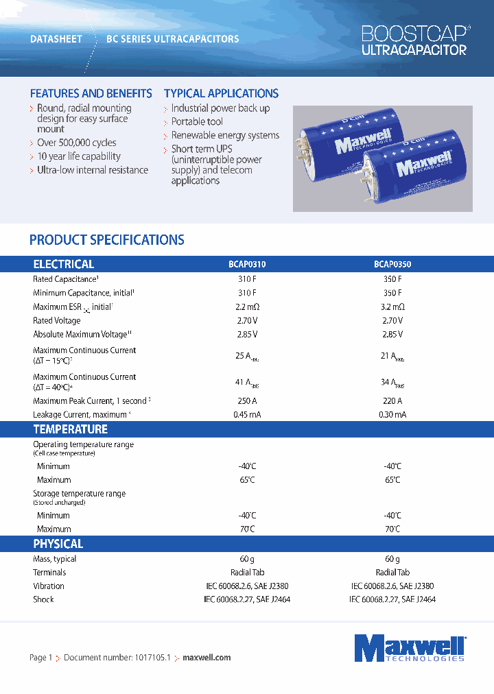 BCAP0310_4598089.PDF Datasheet