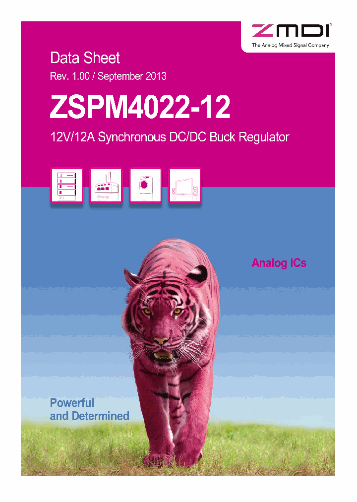 ZSPM4022-12_7592537.PDF Datasheet