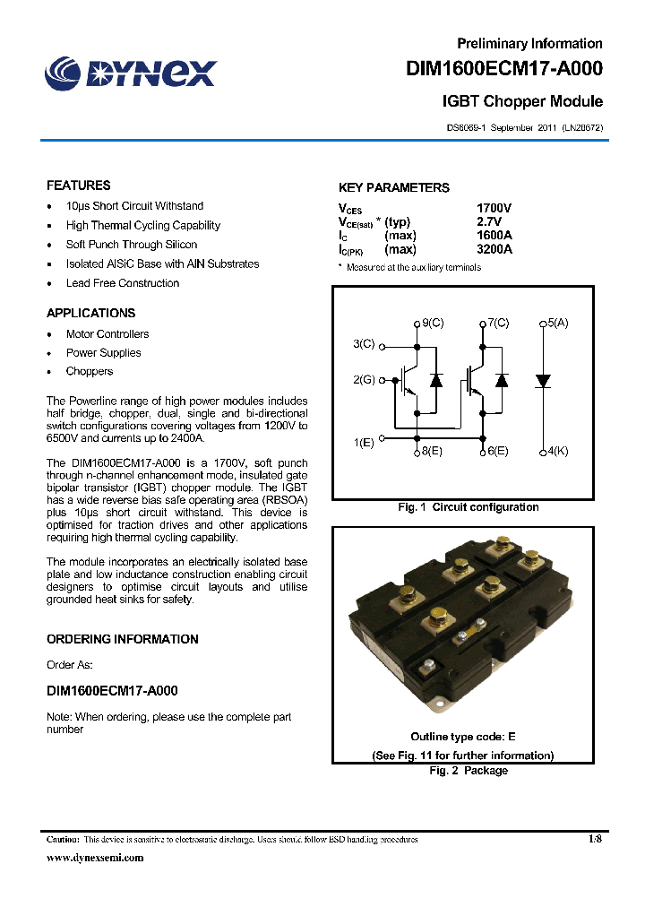 DIM1600ECM17-A000-15_8317608.PDF Datasheet