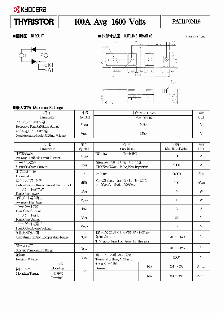 PAH100N16_9010011.PDF Datasheet